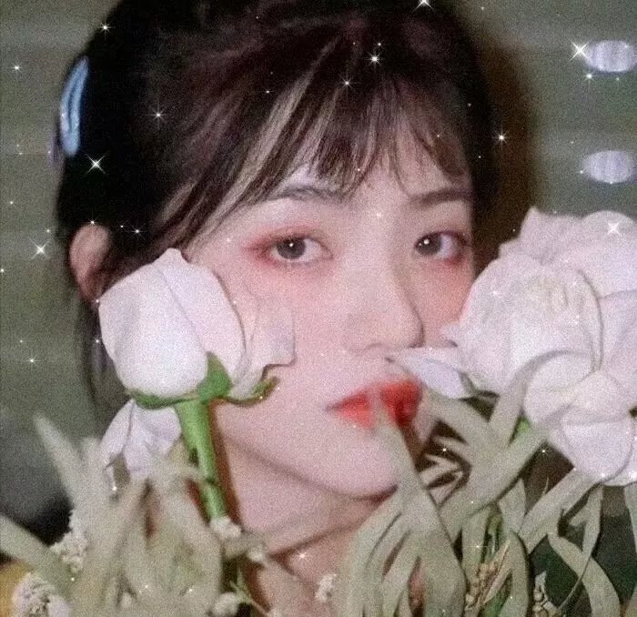 十全九美之真爱无双